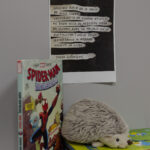 Orjen ridanovic i hrvoje sudar @ knjinica i citaonica kri